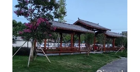 由“盆景”变“风景”，微改精提助力乐清大荆镇抒写美...