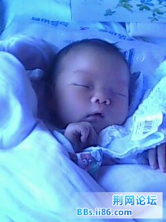 IMG0062A.jpg
