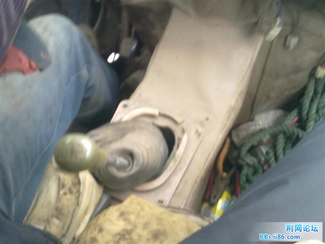 20101105524.jpg
