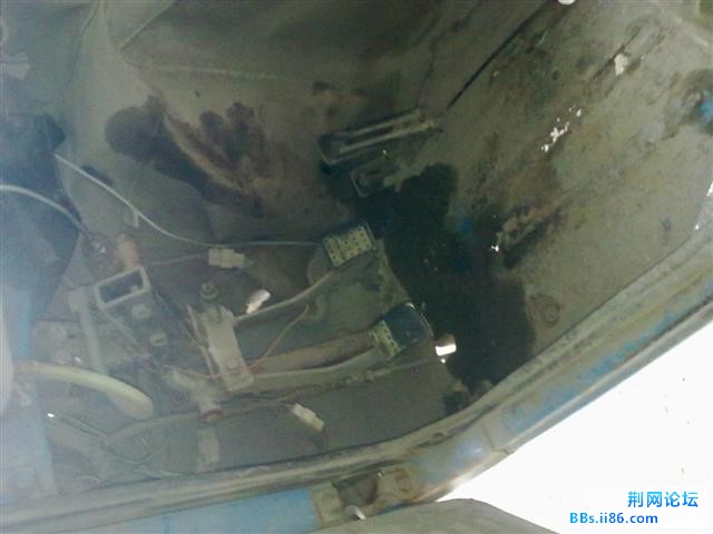 20101105532.jpg