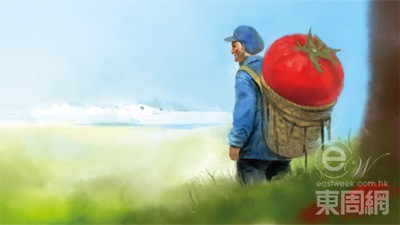 tomato.jpg