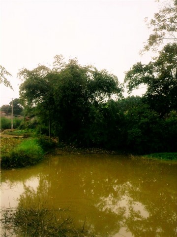 风景 (4).jpg