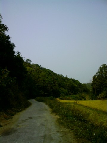 风景 (18).jpg