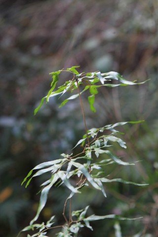 BI0E4890.JPG