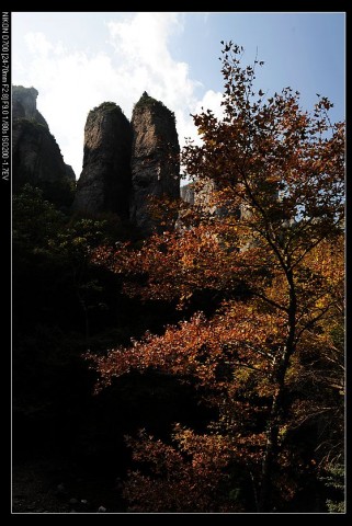 nEO_IMG_DSC_1292.jpg