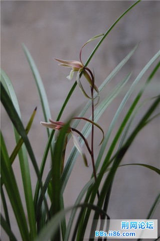 DSC_0002_副本.jpg