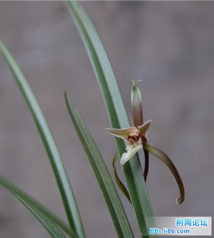 DSC_0004_1副本.jpg