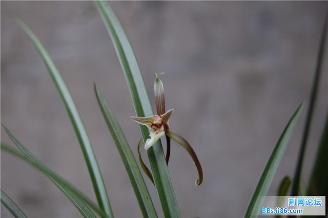 DSC_0004_副本.jpg