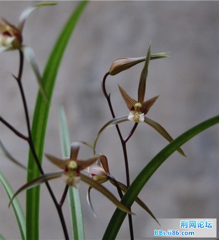 DSC_0007_副本.jpg