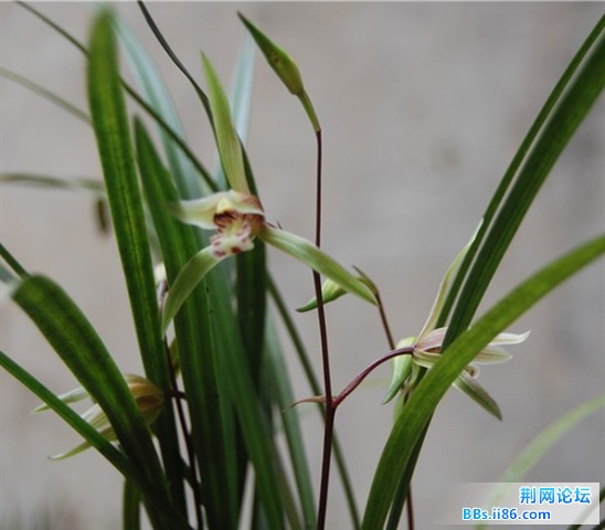 DSC_0023_副本.jpg