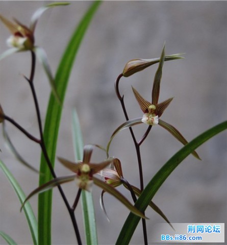 DSC_00071_副本.jpg