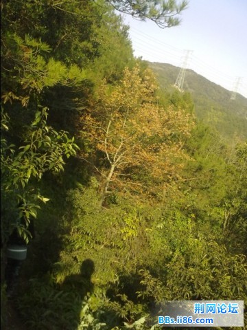 D389KG_0`GKDKDF`8)2~3Y5.jpg