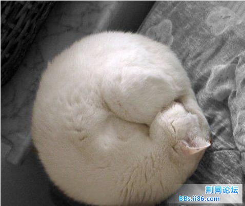 未命名10.jpg