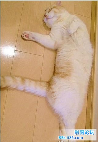 未命名15.jpg