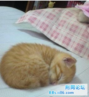 未命名16.jpg