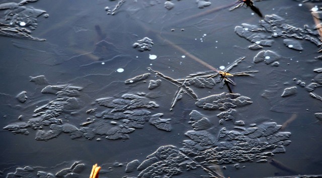 BI0E5864.JPG