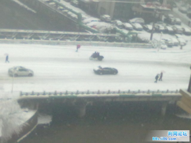 20110120129.jpg