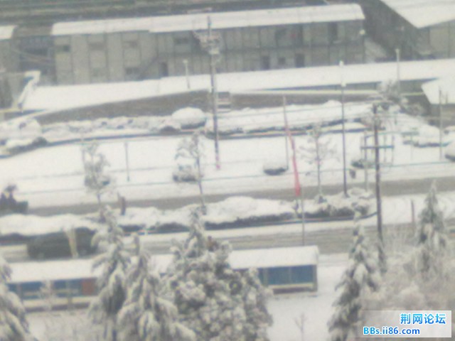20110120130.jpg