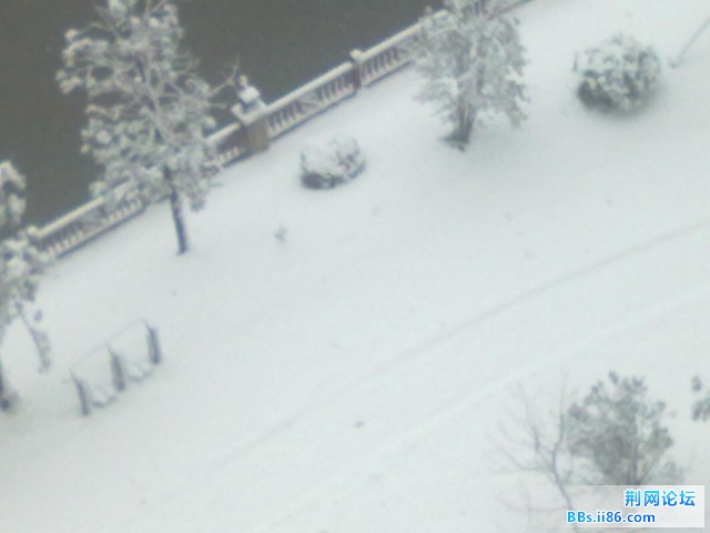 20110120131.jpg