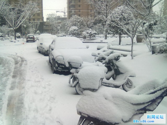 20110120132.jpg