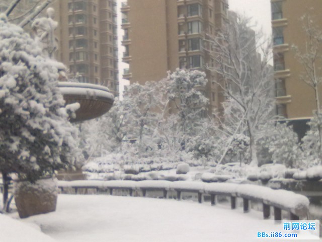 20110120133.jpg