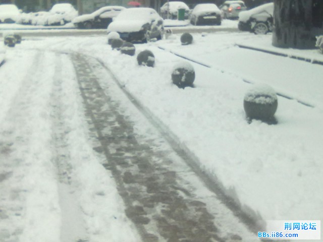 20110120134.jpg