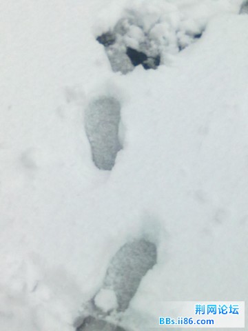 20110120135.jpg