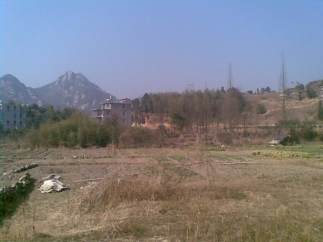 20110203(008).jpg