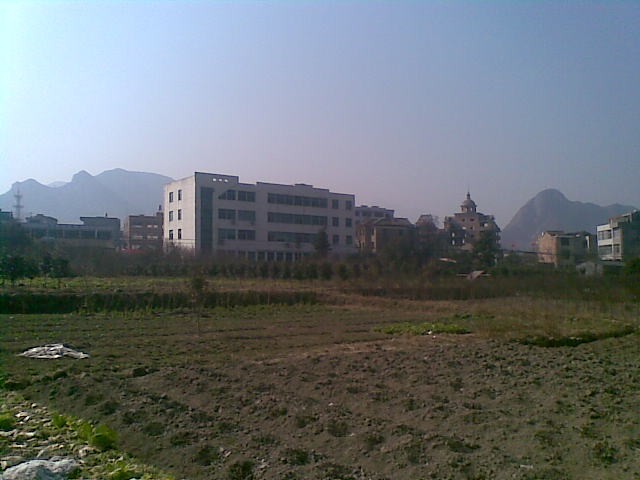 20110203(009).jpg