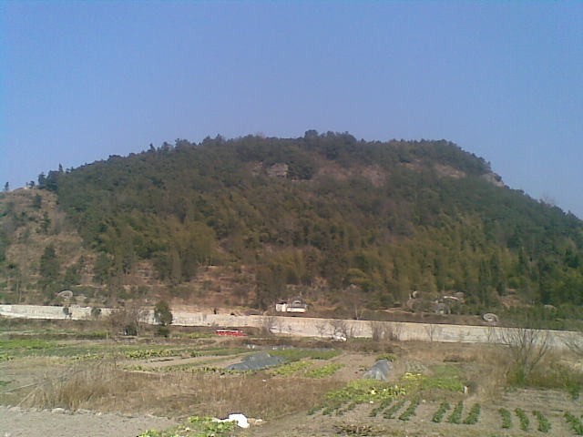 20110203(012).jpg