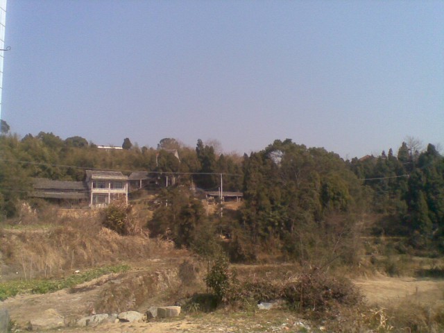 20110205.jpg