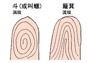http_imgloadCALXOIXY.jpg