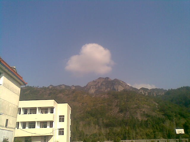 20110222(002).jpg