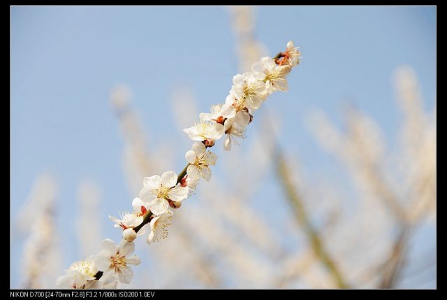 nEO_IMG_DSC_2012.jpg