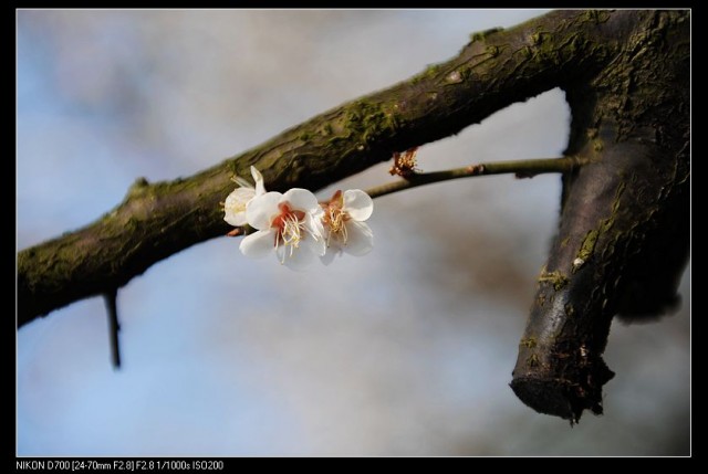 nEO_IMG_DSC_2059.jpg