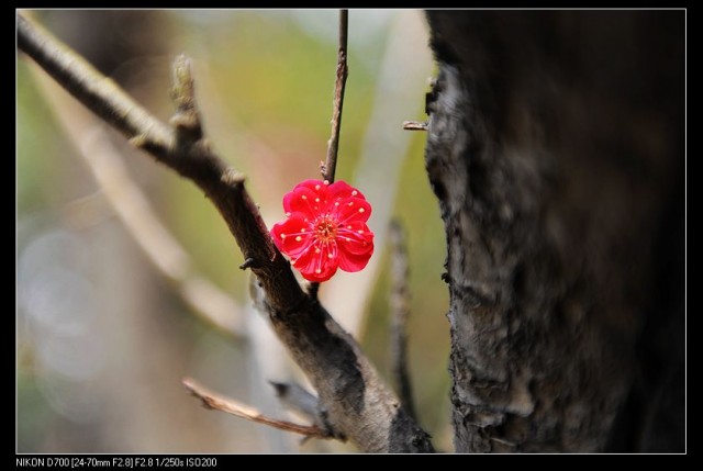 nEO_IMG_DSC_2180.jpg