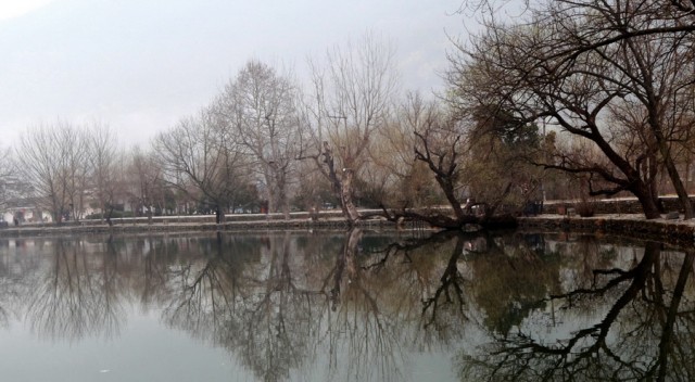 BI0E7527.JPG