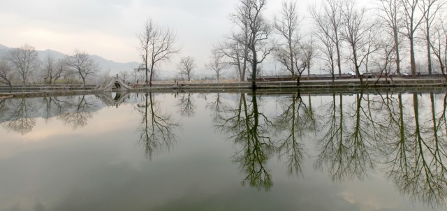 BI0E7533.JPG