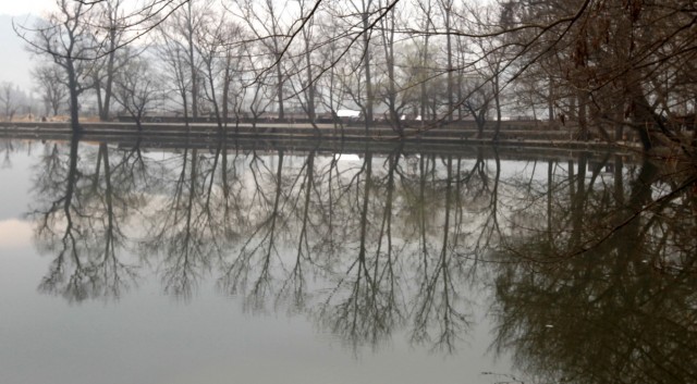 BI0E7613.JPG