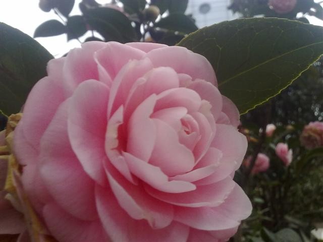 20110311891.jpg