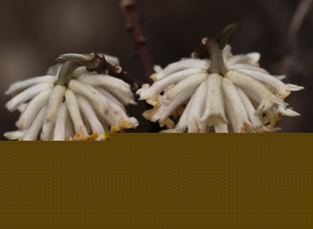 12BI0E8137.JPG