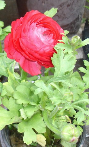 DSC03892.JPG