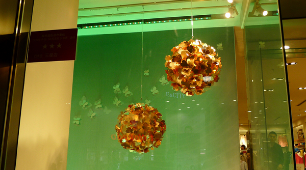 P1000213.jpg