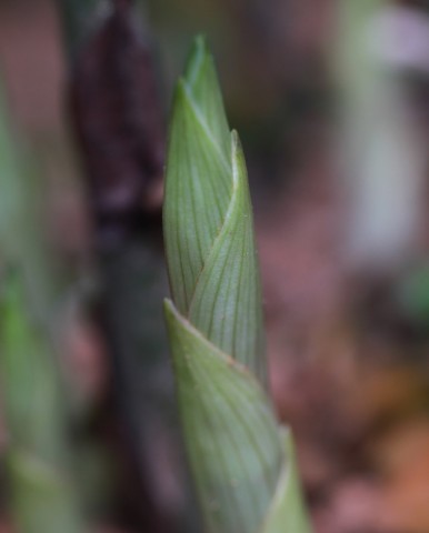 BI0E8278.JPG