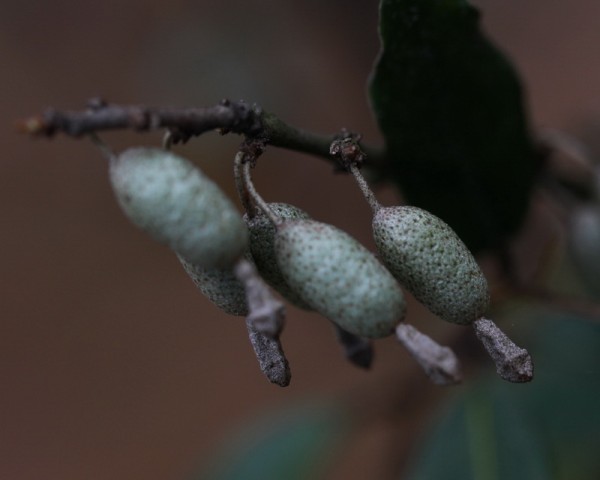 BI0E8279.JPG