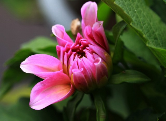 BI0E8455.JPG