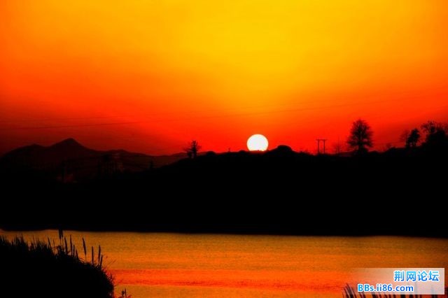 _MG_5222.jpg