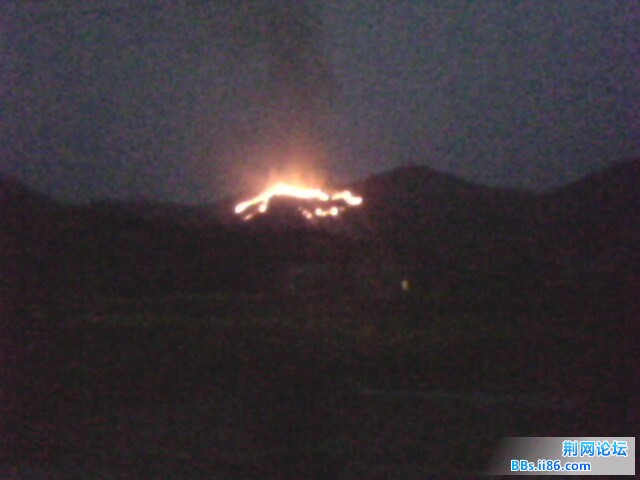 IMG1003A.jpg