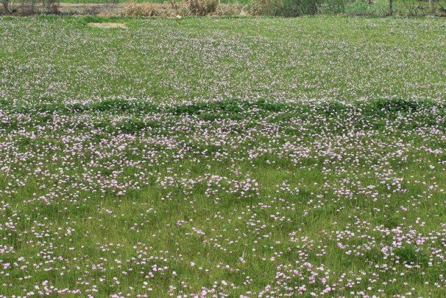 BI0E8589.JPG