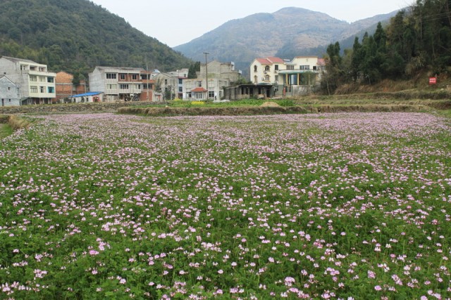 BI0E8595.JPG